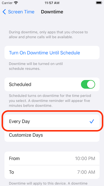 Select Every day schedule