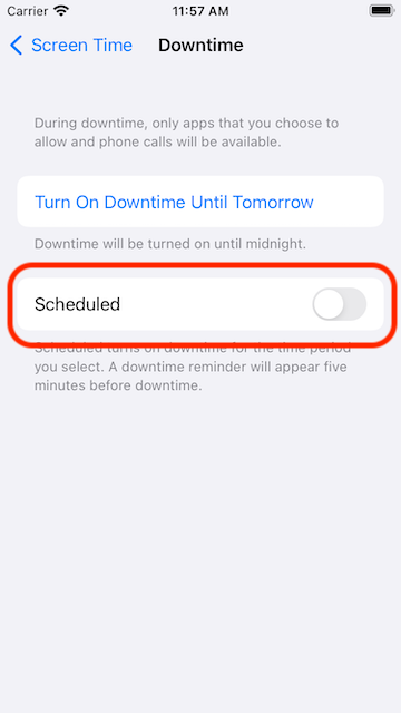 Downtime screen