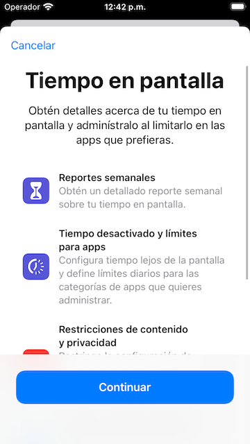 Screen Time first time access 1