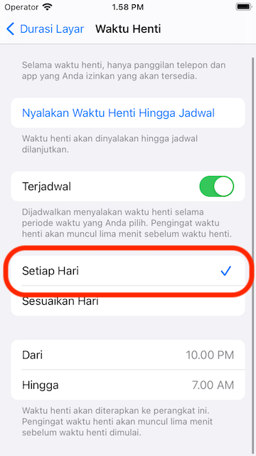 Select Every day schedule
